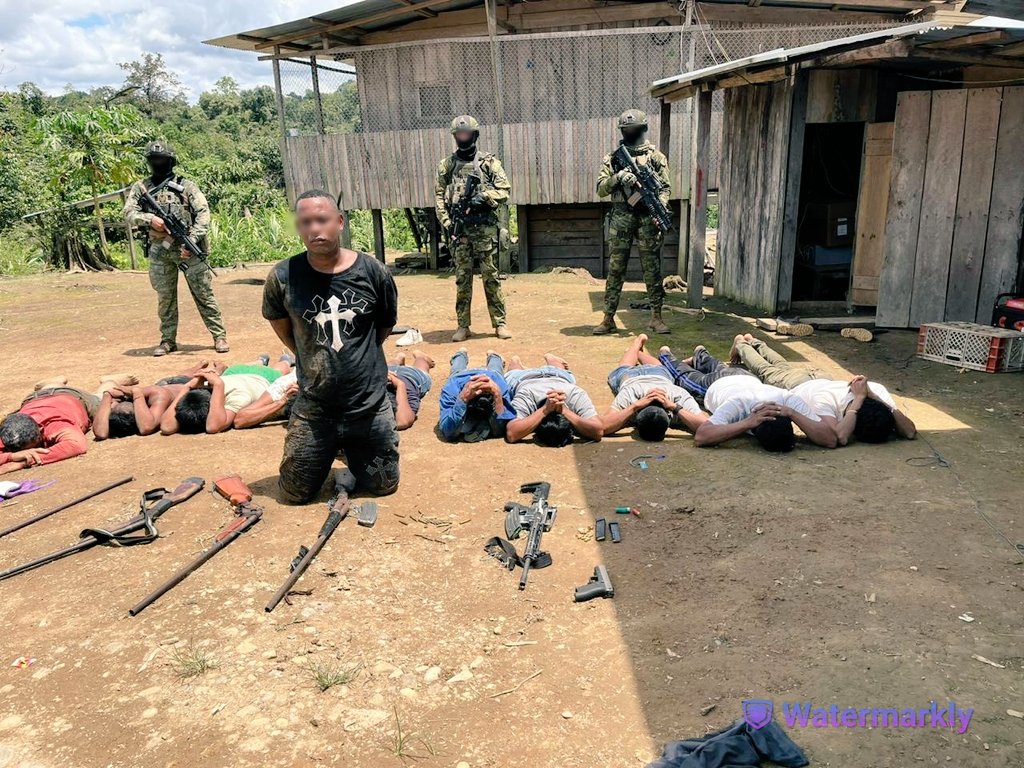 Golpe a estructura armada en la frontera norte: cae alias “Camilo” en operativo militar