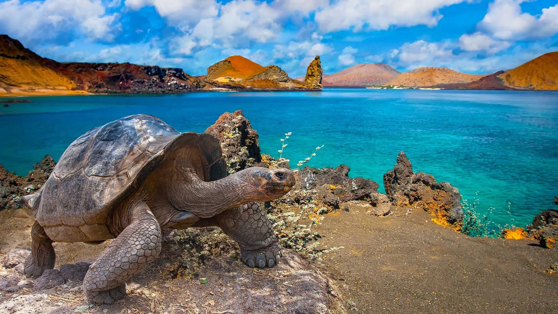 Ministerio aclara que no habrá minería en el Parque Nacional Galápagos