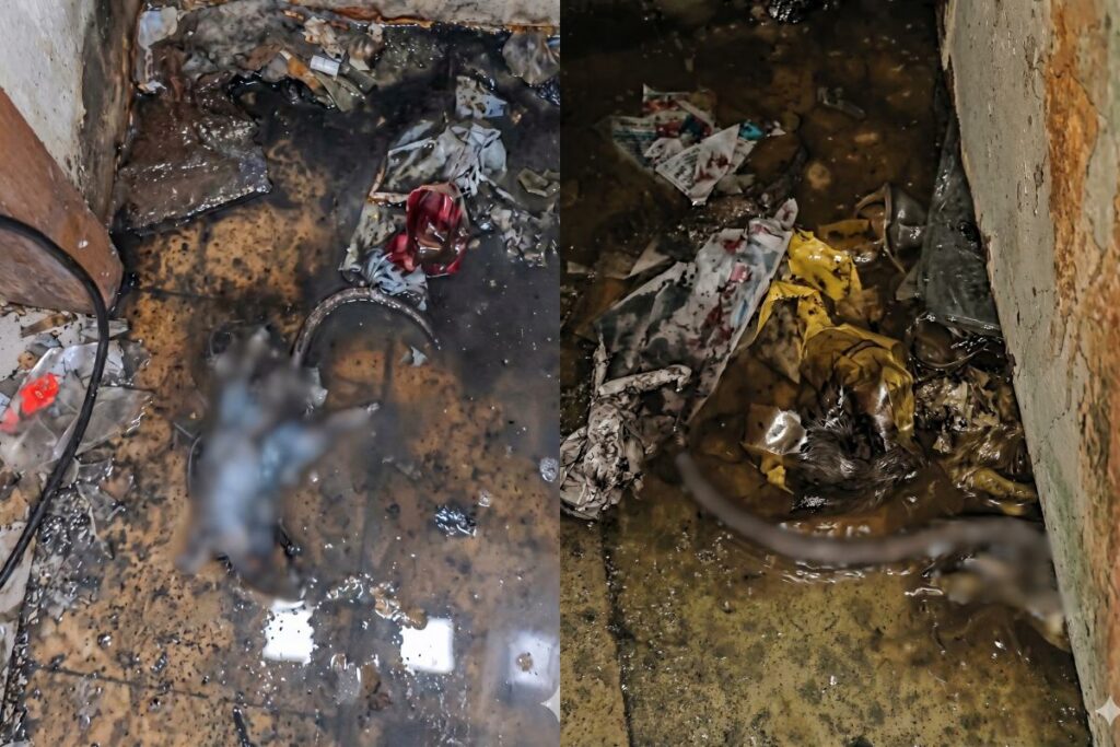 Detectan foco de infección en restaurante del centro de Guayaquil