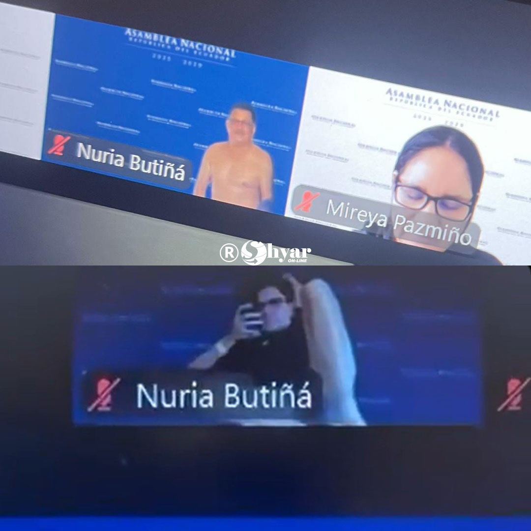 Intruso aparece en sesión virtual de la Asamblea Nacional