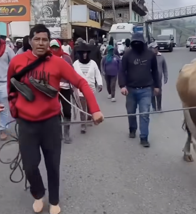 Señalado por presunto robo de vaca fue llevado amarrado por las calles de Bolívar