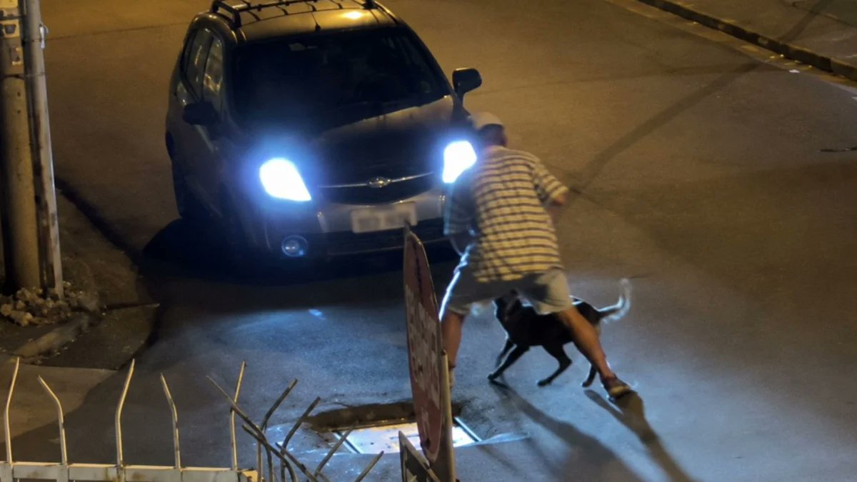 Hombre y su perro fueron arrollados en el norte de Guayaquil