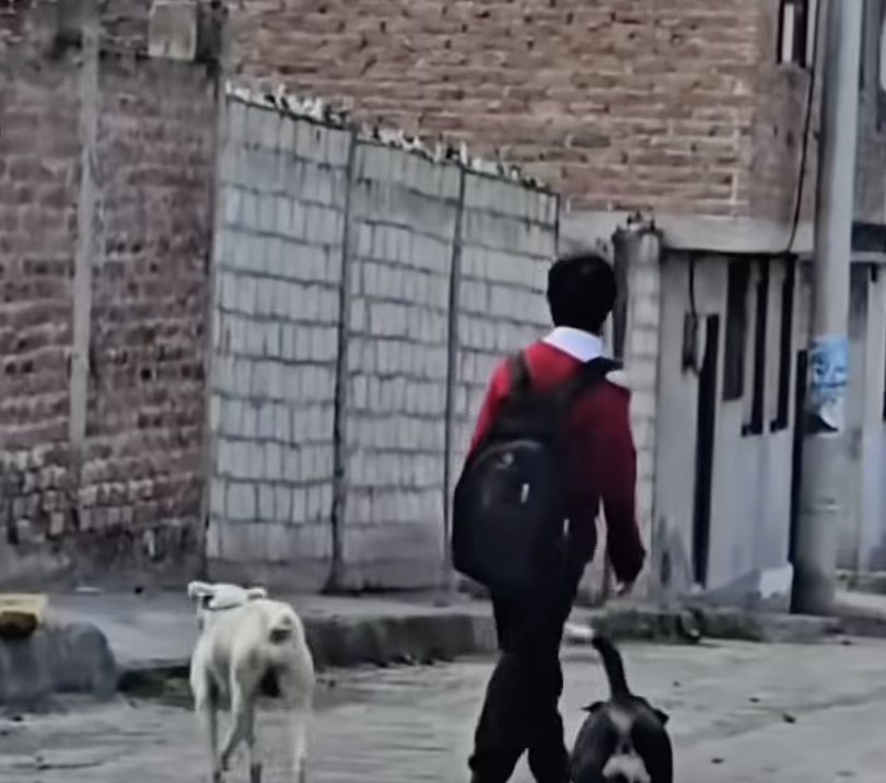 Preocupación en Ibarra tras difusión de video de estudiante en aparente ebriedad