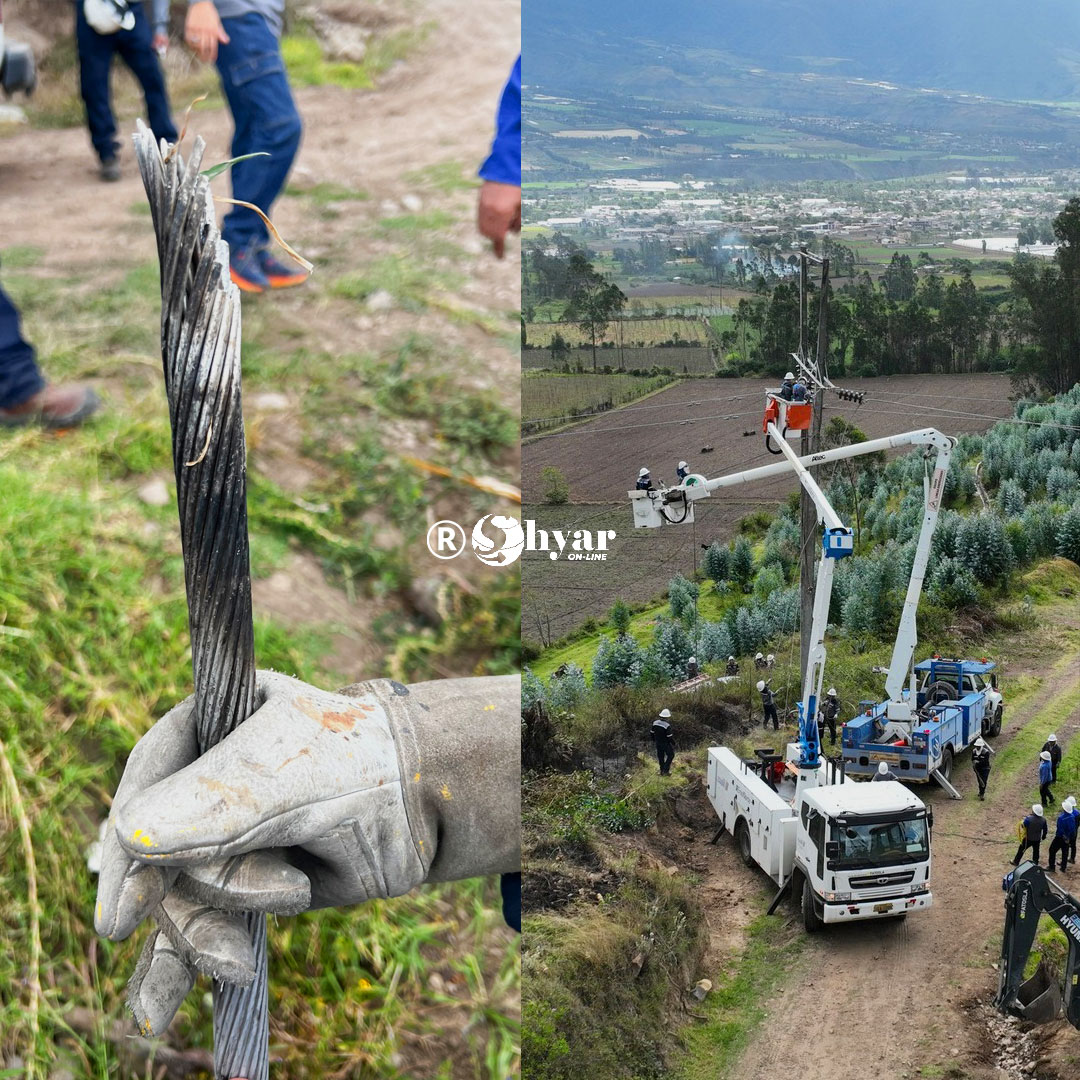 Interrupción eléctrica en Imbabura fue causada por caída de árbol, informó EMELNORTE
