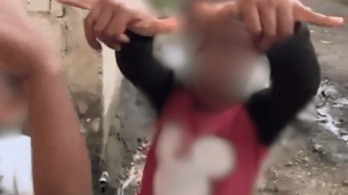 Redes sociales reaccionan tras difusión de video de menores y símbolos delictivos