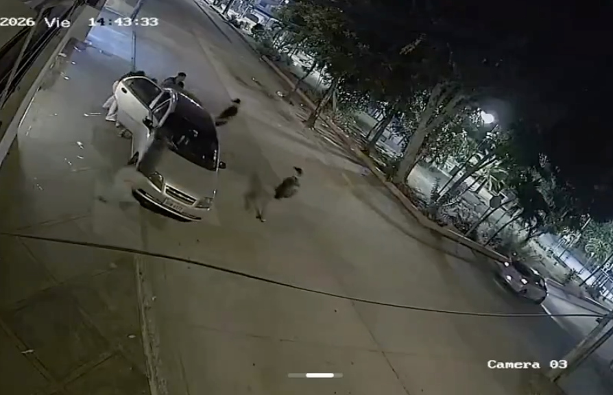 Delincuentes armados roban pertenencias de estudiantes en La Garzota