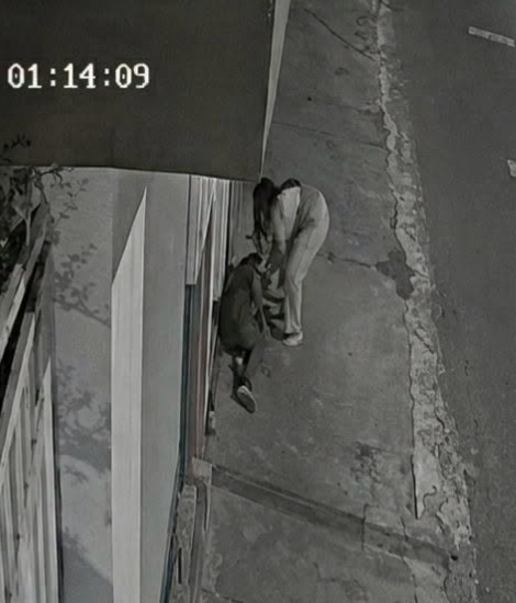 Investigación continúa tras muerte de Mateo Andrade por traumatismo craneoencefálico