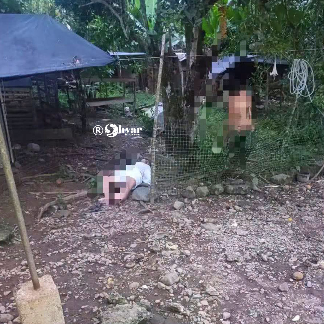 Violencia doméstica fatal: presunta muerte de mujer y suicidio del esposo sacude a la comunidad