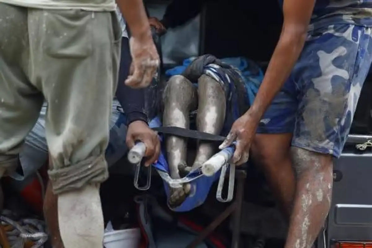 Impactante video revela cómo trabajadores corrieron para salvar sus vidas en Nepal