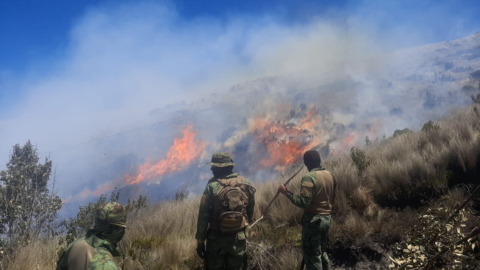 Ejército Ecuatoriano apoya labores para controlar incendio en zona protegida de Cotacachi