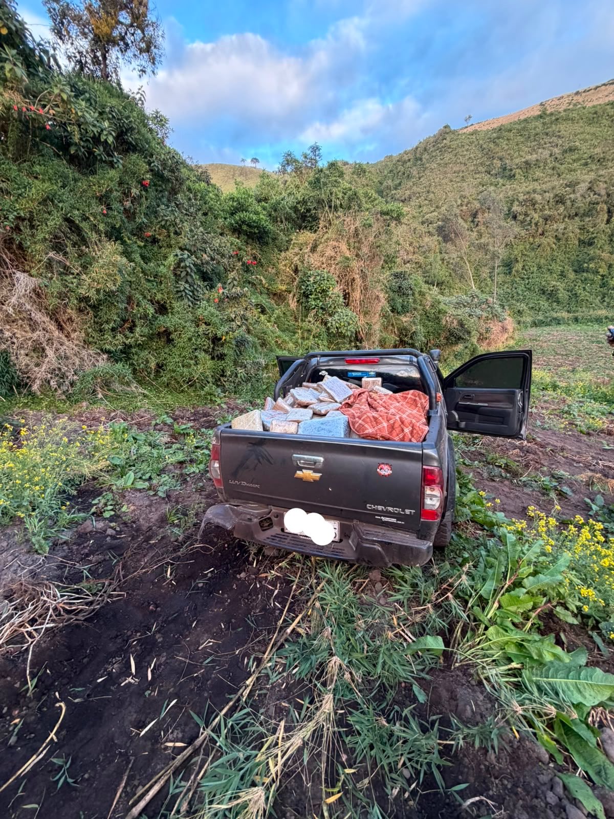 Cinco detenidos tras operativo que dejó 400 kilos de marihuana incautados en Carchi